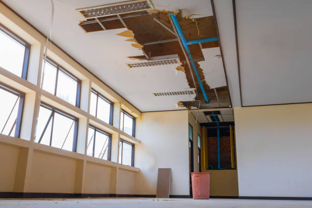 Water damage restoration mold remediation in Bethesda, OH