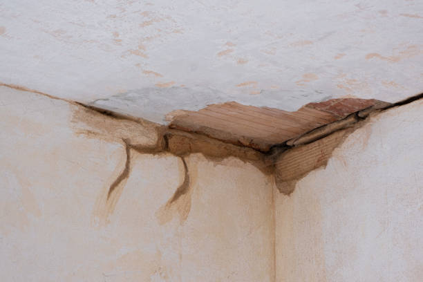 Best 24-hour water damage restoration  in Bethesda, OH