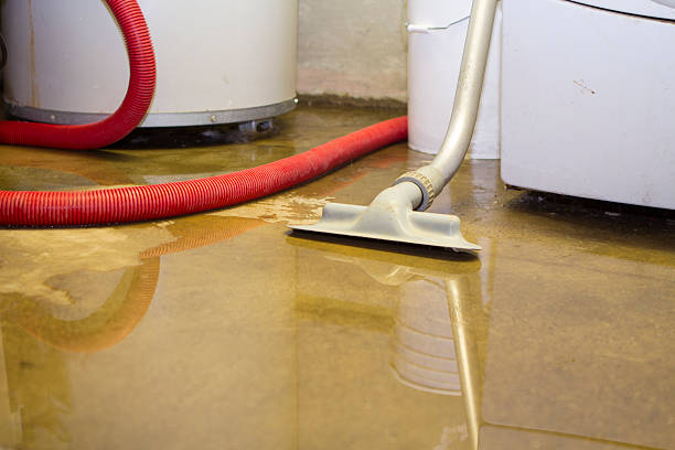 Best Sewage cleanup and water damage restoration  in Bethesda, OH