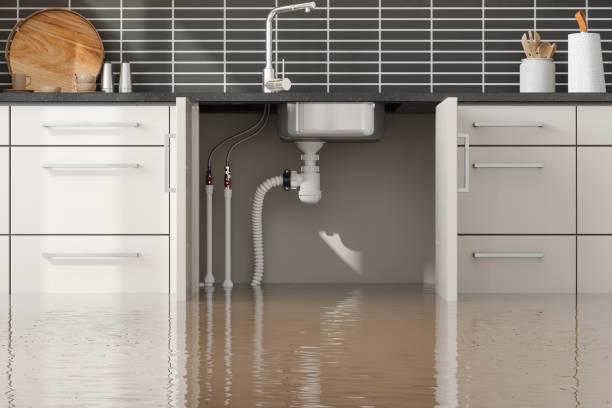Best Fire Damage Restoration  in Bethesda, OH