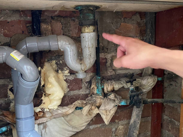 Best Sewage cleanup and water damage restoration  in Bethesda, OH