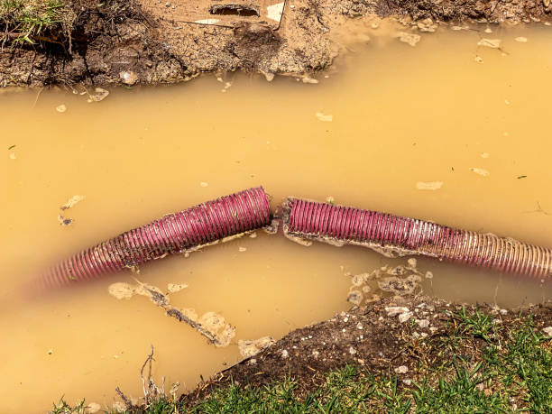 Best Carpet water damage restoration  in Bethesda, OH