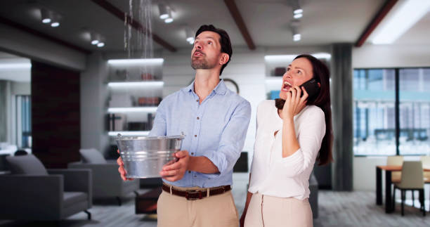Best Flood damage cleanup  in Bethesda, OH