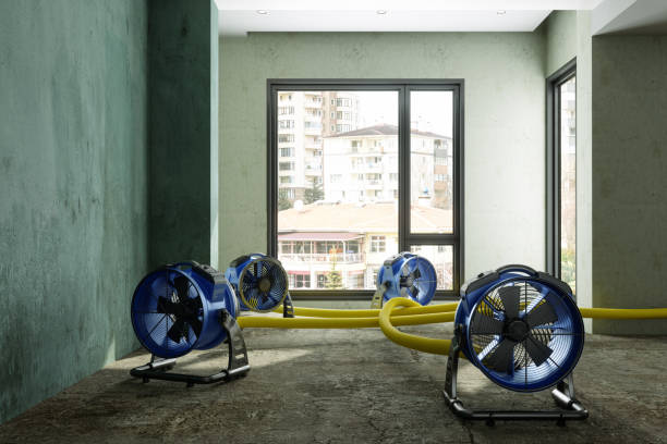 Best Water damage restoration near me  in Bethesda, OH